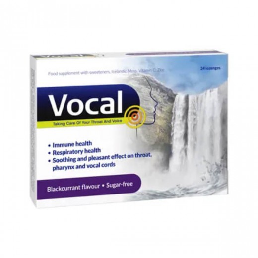 Vocal czarna porzeczka, pastylki do ssania, miękkie, 24 sztuki