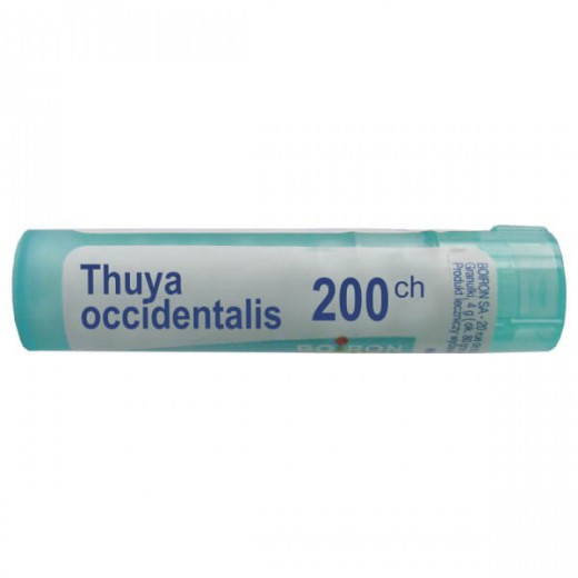Boiron Thuya occidentalis 200 CH, granulki, 4 g