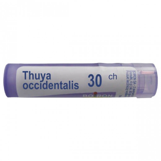 Boiron Thuya occidentalis 30 CH, granulki, 4 g