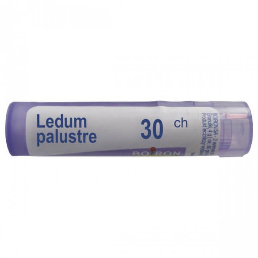 Boiron Ledum palustre, 30 CH, granulki, 4 g