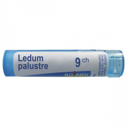 Boiron Ledum palustre, 9 CH, granulki, 4 g