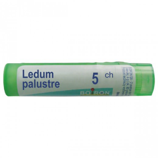 Boiron Ledum palustre, 5 CH, granulki, 4 g