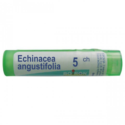 Boiron Echinacea angustifolia, 5 CH, granulki, 4 g