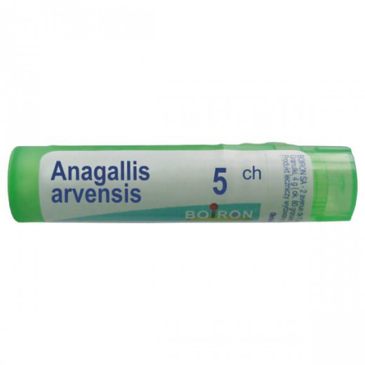 Boiron Anagallis arvensis, 5 CH, granulki, 4 g