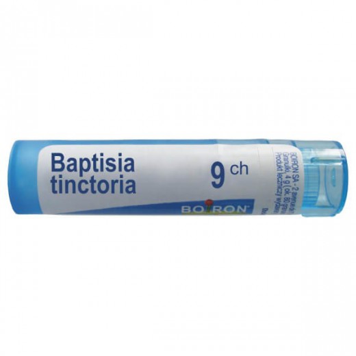 Boiron Baptisia Tinctoria, 9 CH , granulki, 4g