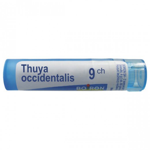 Boiron Thuya occidentalis, 9 CH, granulki, 4 g