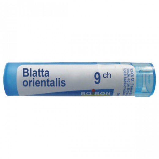 Boiron Blatta Orientalis, 9 CH, granulki, 4g