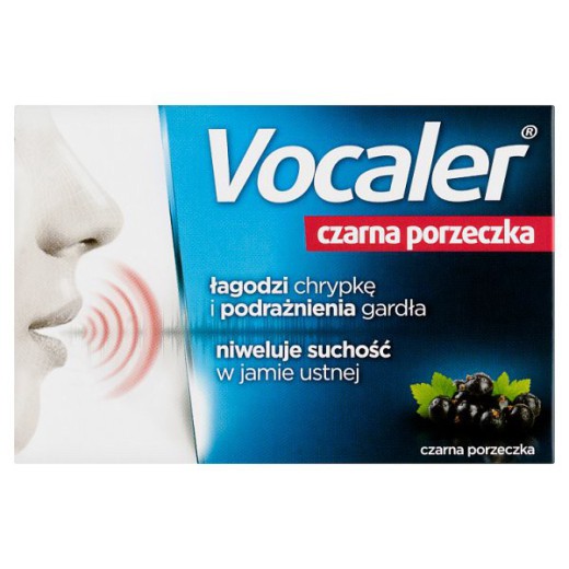 VOCALER czarna porzeczka pastyl.dossania 1
