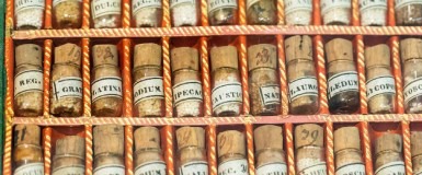 Homeopatia — jak może Ci pomóc?