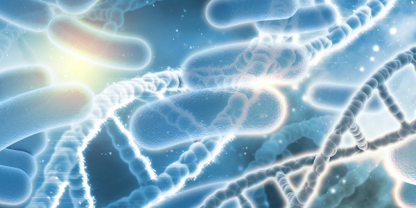 Probiotyki – które szczepy mają udowodnione działanie?