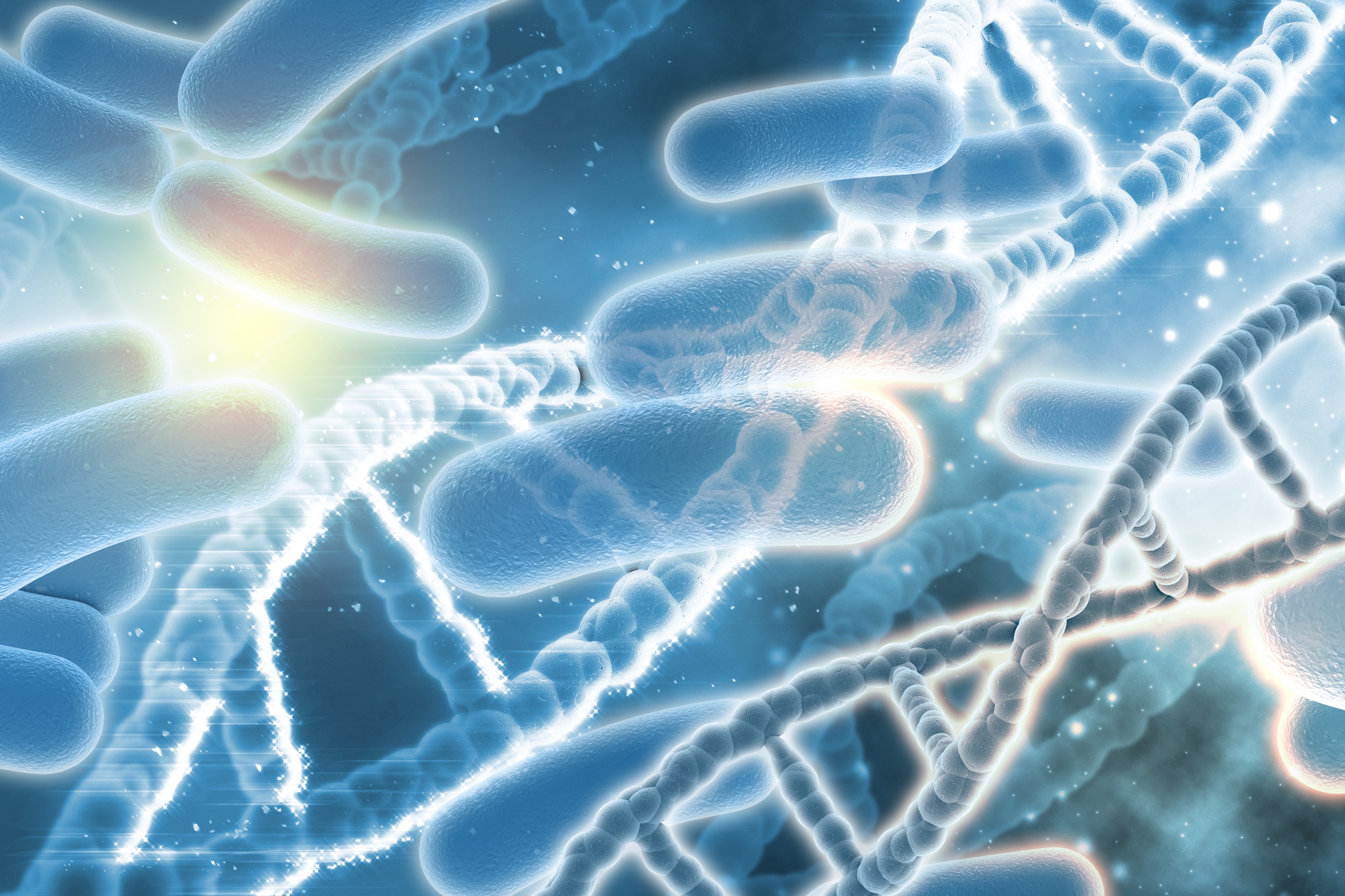 Probiotyki – które szczepy mają udowodnione działanie?